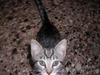 zum vergr��ern bitte klicken