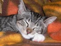 zum vergr��ern bitte klicken